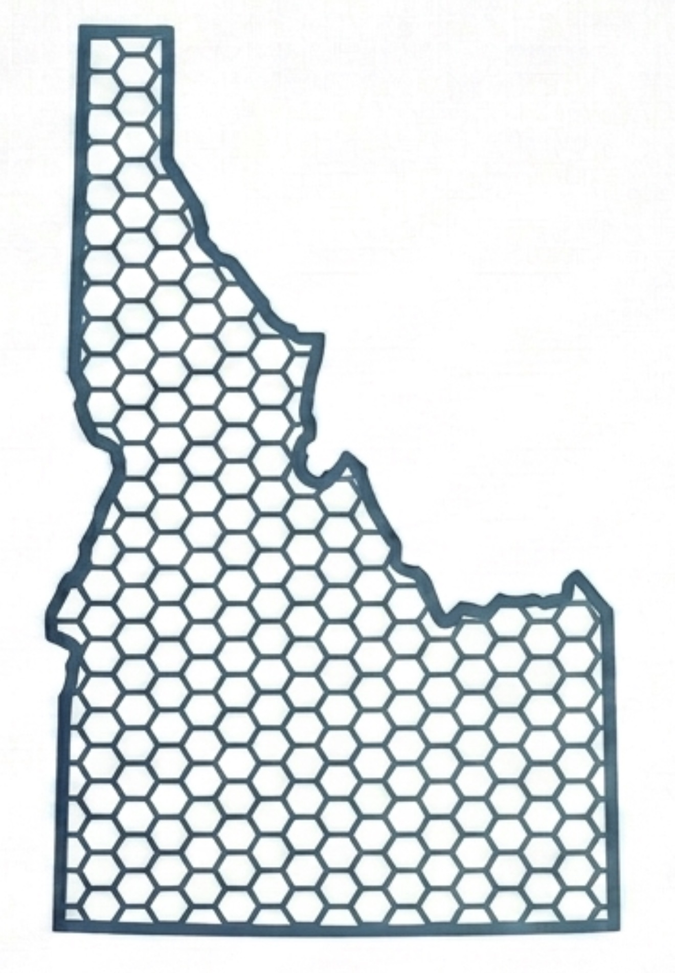 Hernia mesh design inspired by Boise Idaho