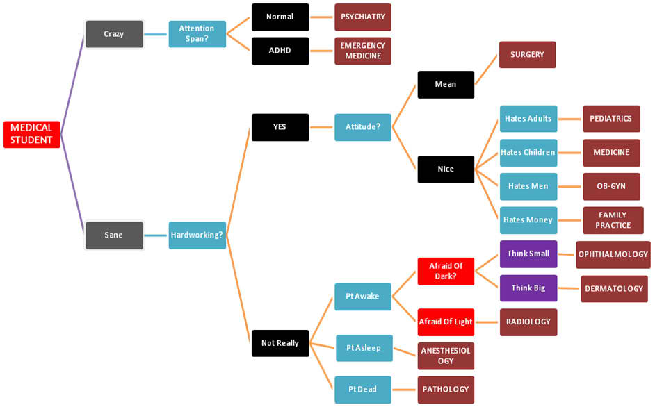 Humorous medical specialty decision flowchart