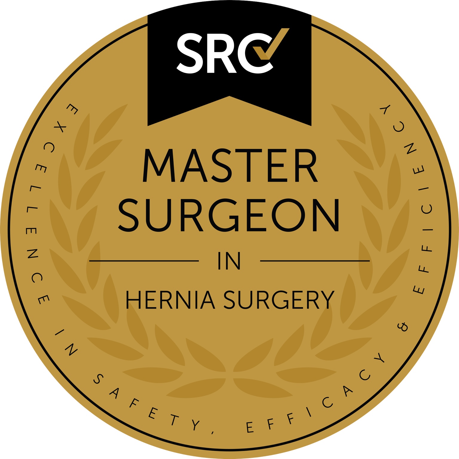 SRC Master Surgeon in Hernia Surgery seal